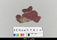 藏品(中國湖北皮影戲盔帽)的圖片